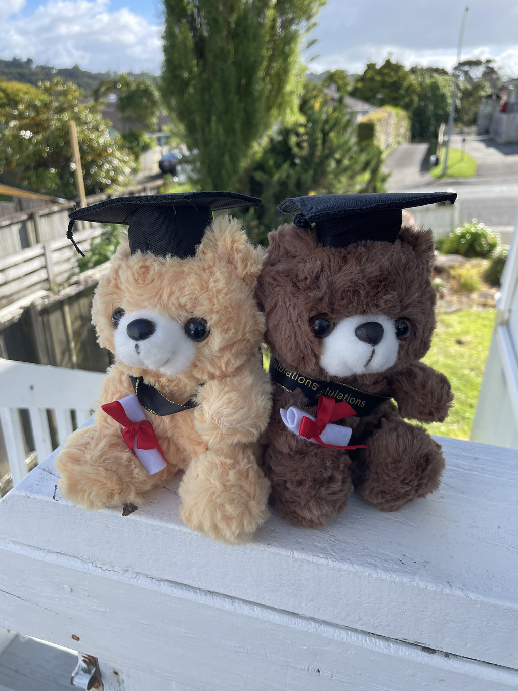 Graduation Teddy Bear Gift