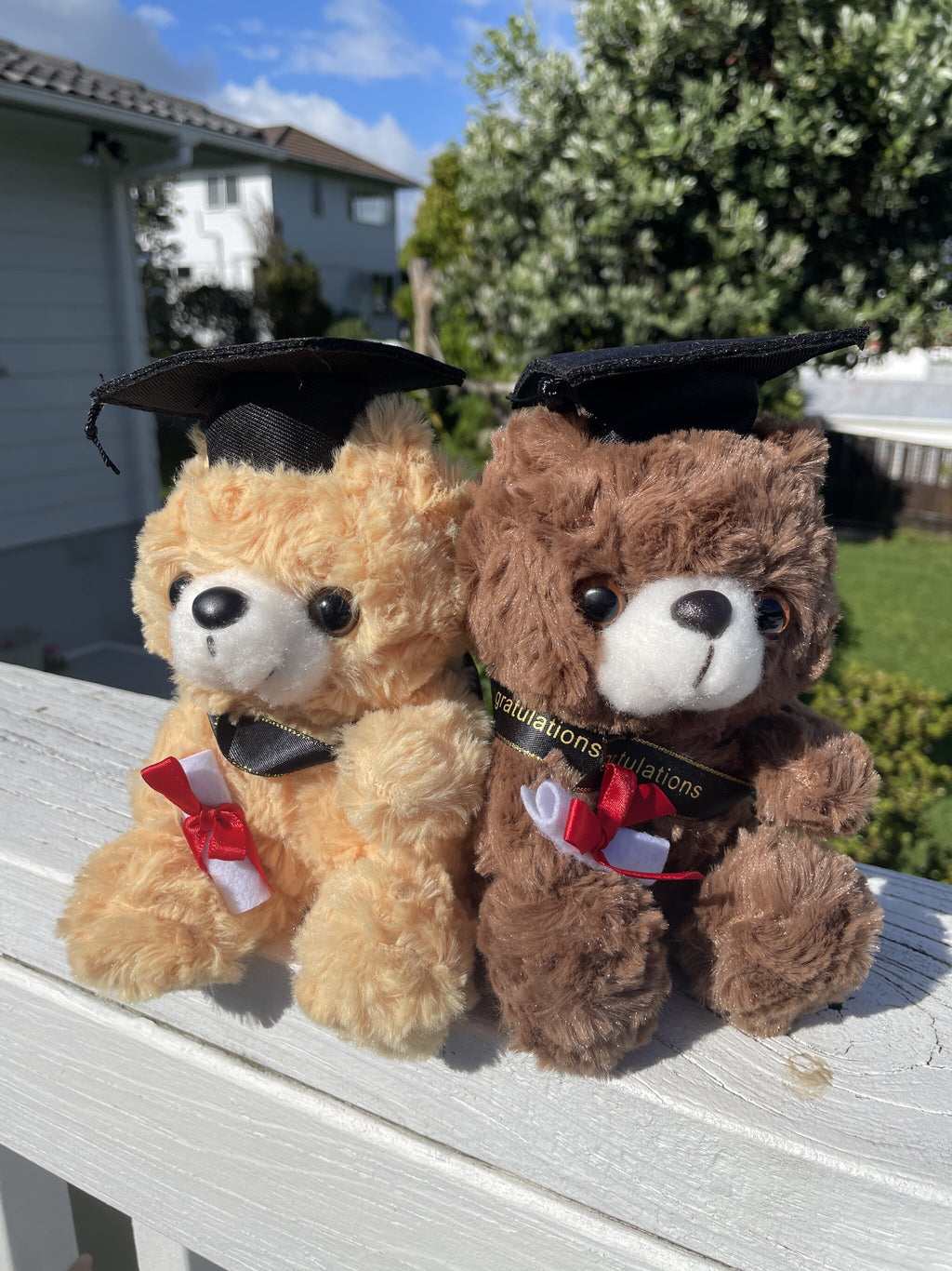 Graduation Teddy Bear Gift