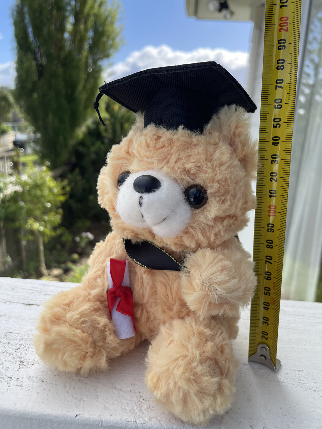 Graduation Teddy Bear Gift